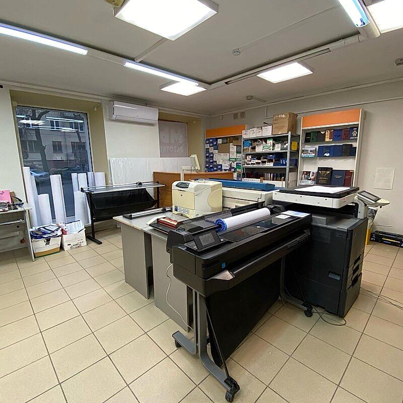 кукурузник мамина сибиряка